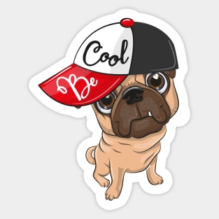 Be Cool Pug Sticker